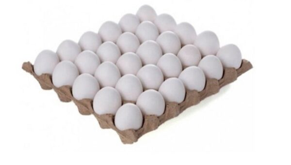 Imagen de WhatsApp 2025-11-06 a las 20.17.03_b4672562 Huevos 30U